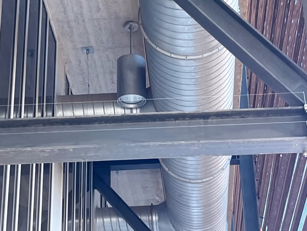 Pigeon abatement on a Phoenix rooftop